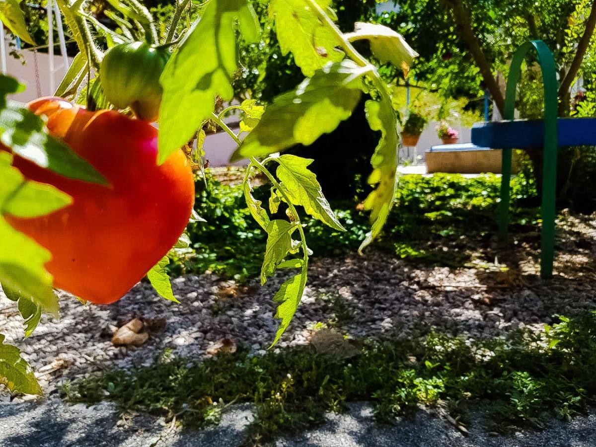 Colazione Dei Canottieri Acomodação com café da manhã Lago  Exterior foto